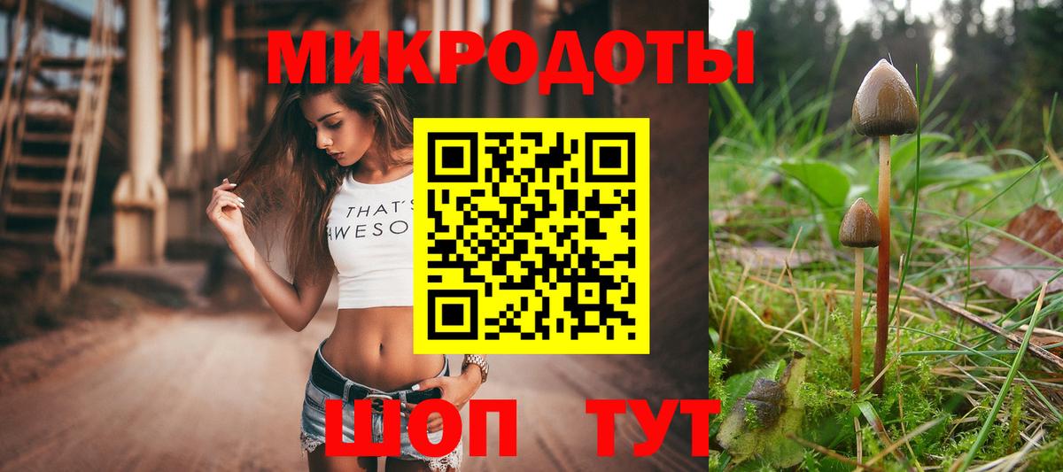 Галлюциногенные грибы Psilocybe Гусь-Хрустальный