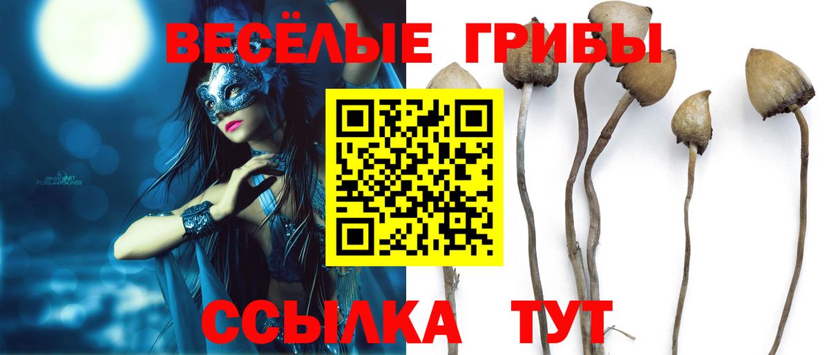 наркота  Галлюциногенные грибы GOLDEN TEACHER  Вход с VPN  Гусь-Хрустальный 